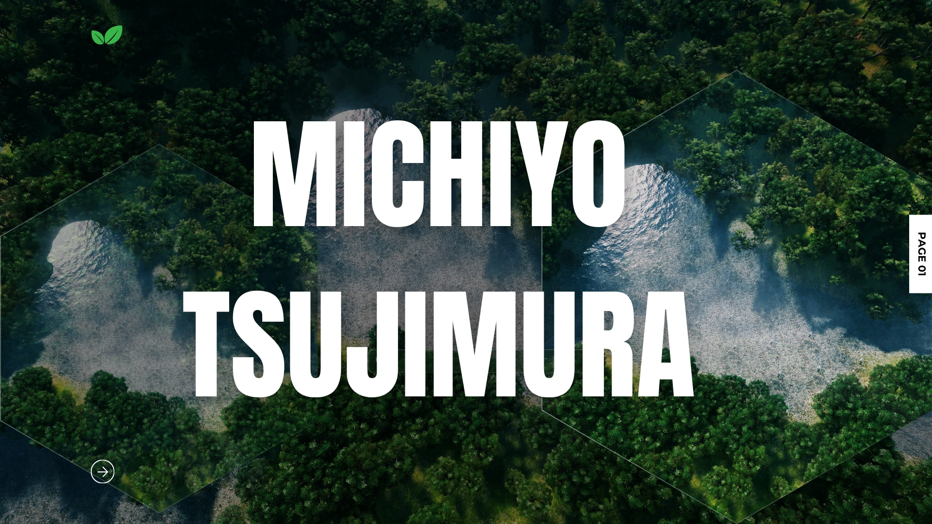 Michiyo Tsujimura: The Quiet Pioneer of Green Tea Science