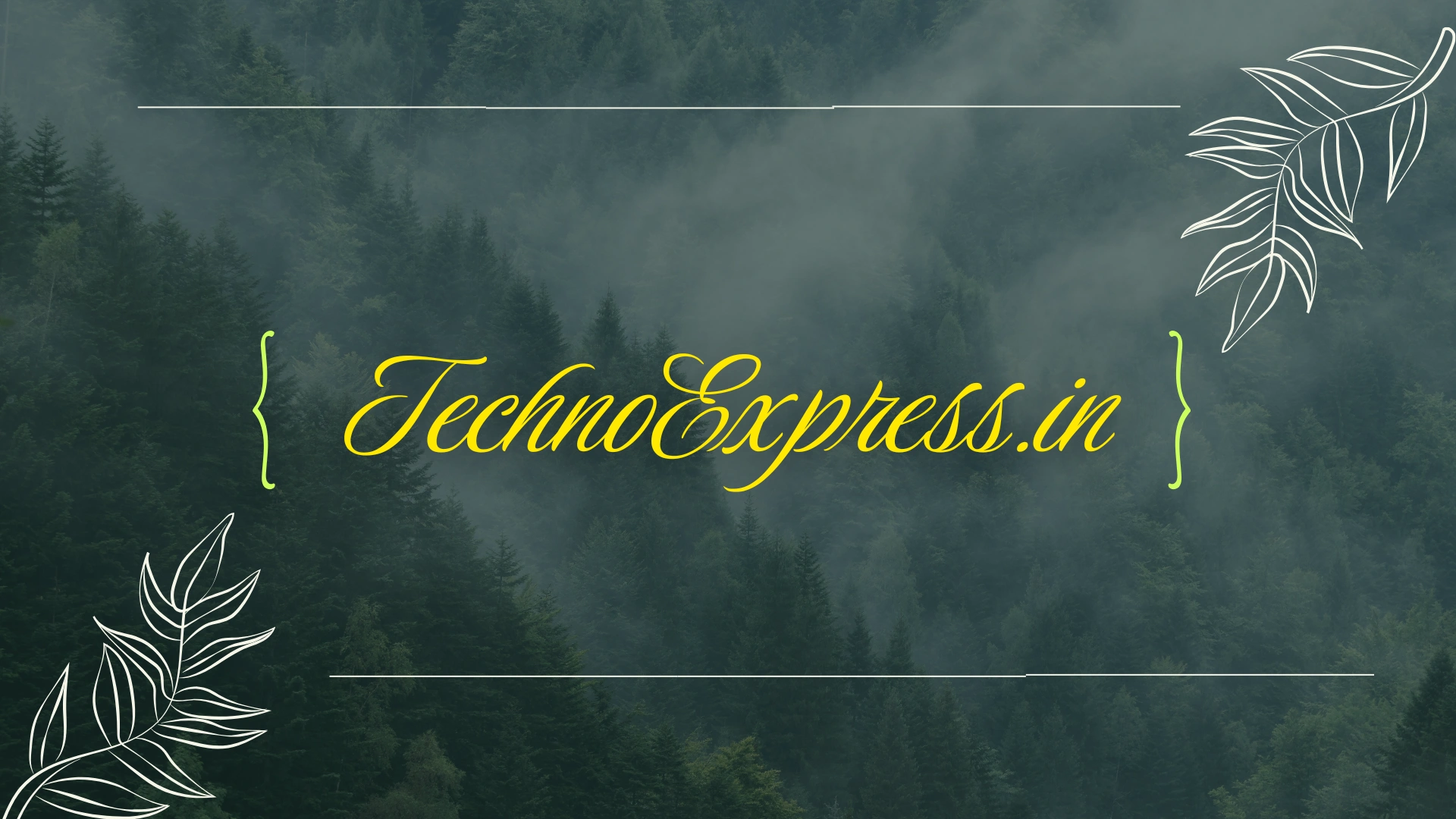 TechnoExpress.in: Fast Hosting and Cloud Solutions 