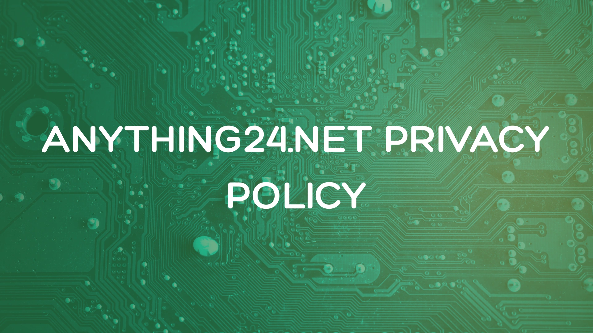 Anything24.net Privacy Policy: Data Collection & User Privacy 